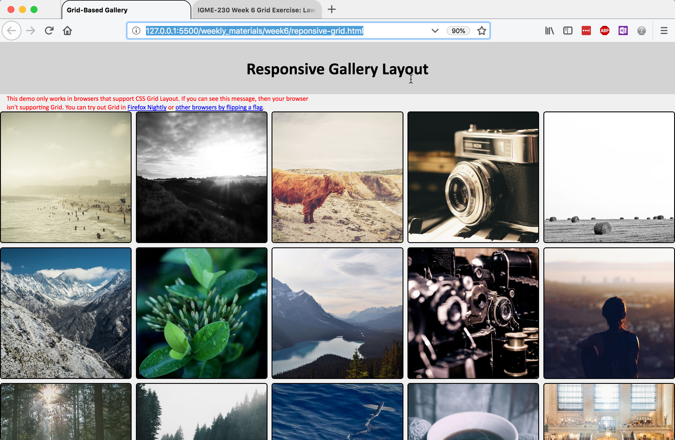 Square Image Gallery Grid